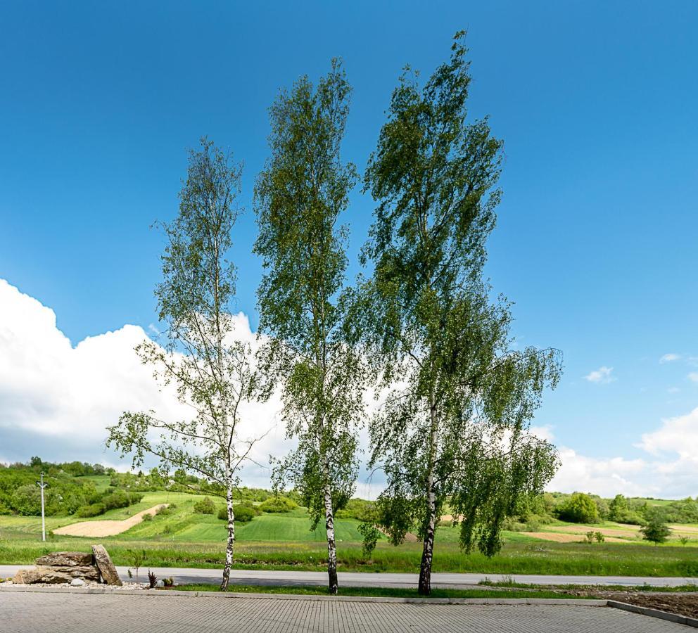 Agrohotel Tri Brezy Hrustin Dış mekan fotoğraf